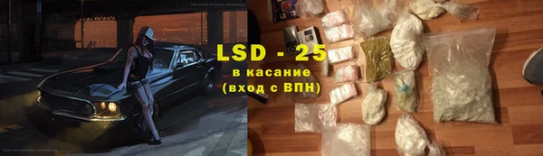 прущие грибы Лагань