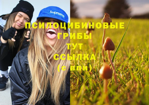 mix Ладушкин