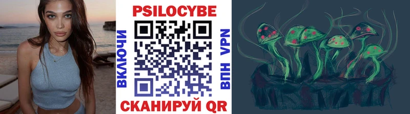 Купить где  Вытегра  Псилоцибиновые грибы Psilocybine cubensis 